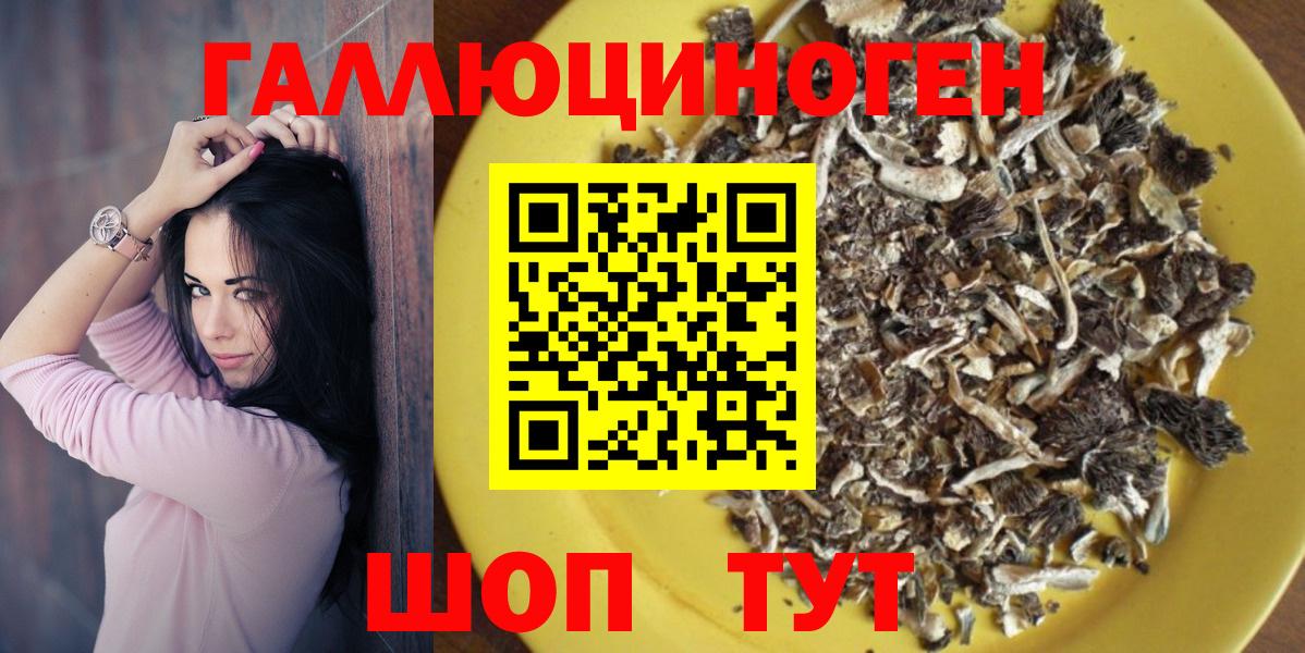 Галлюциногенные грибы Psilocybe Кунгур